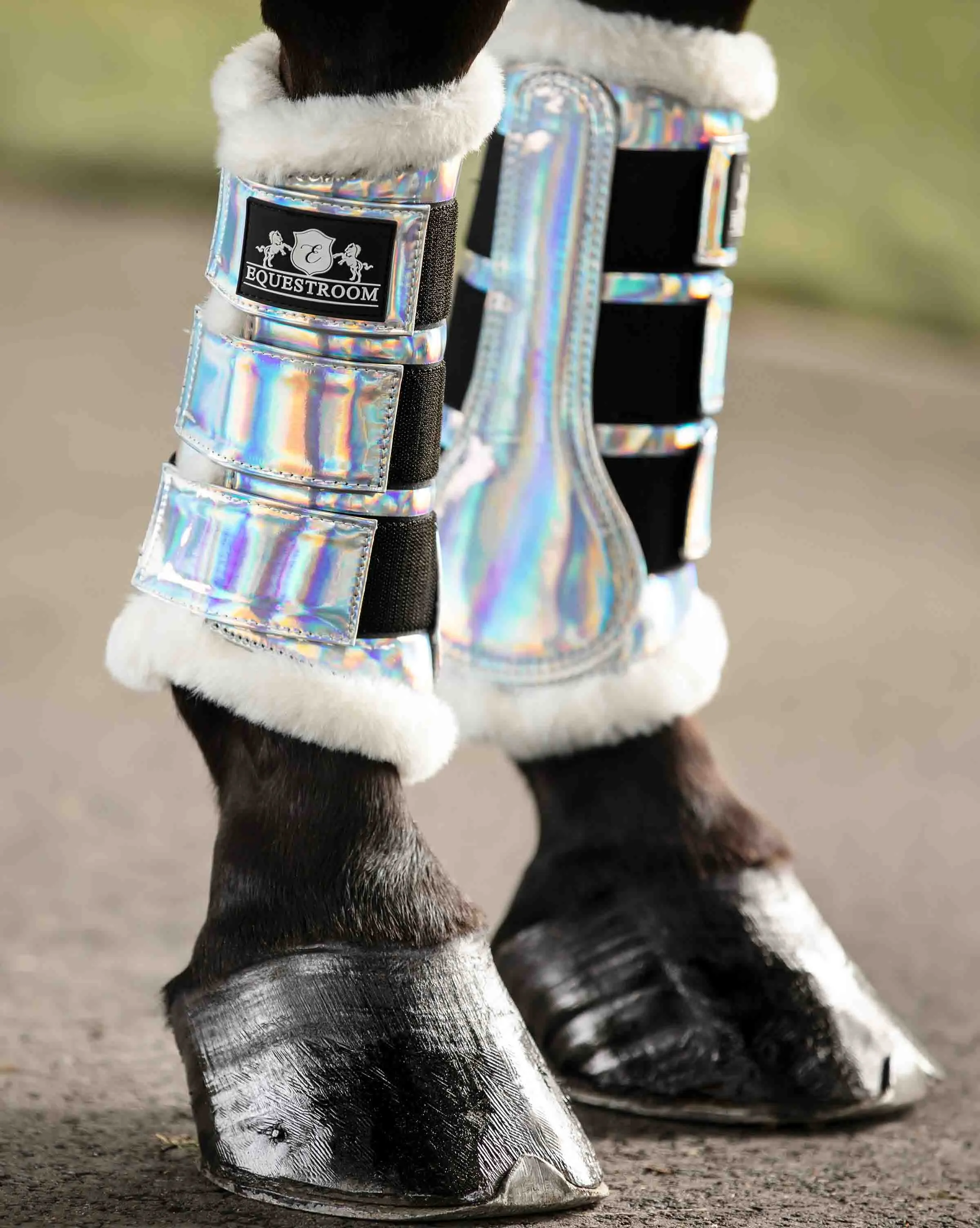 Holographic Boots